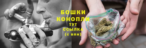 спайс Баксан