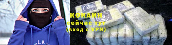 спайс Баксан
