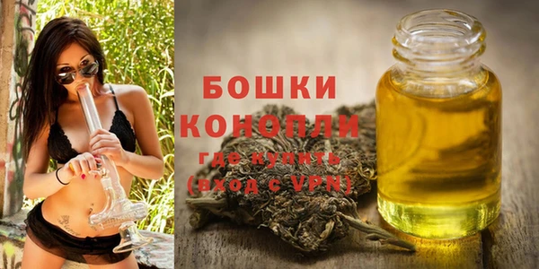 прущие крисы Балахна