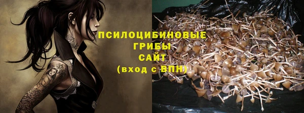 спайс Баксан