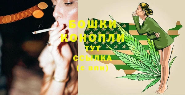 спайс Баксан