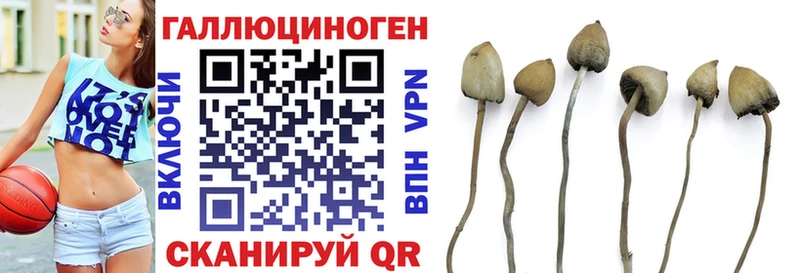 хочу наркоту  Каспийск  Псилоцибиновые грибы Magic Shrooms 