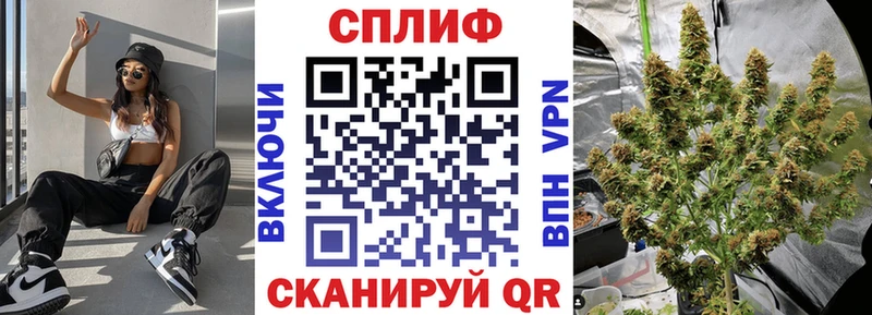 Канабис THC 21%  блэк спрут ссылка  Каспийск  купить наркоту 